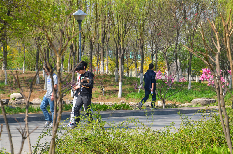 云顶国际(集团)官方网站